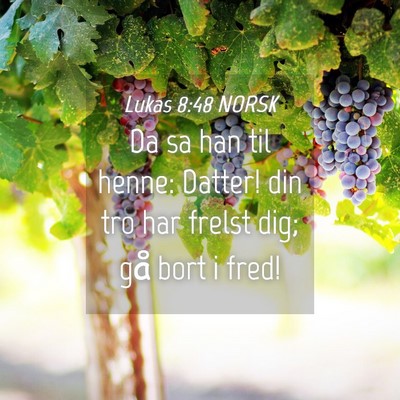 Picture 04 - Lukas 8:48 NORSK - Da sa han til henne: Datter! din tro har frelst - Bible Verse Picture