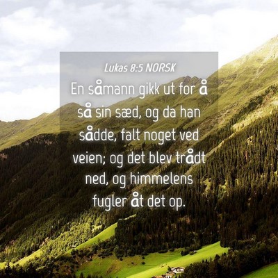 Picture 04 - Lukas 8:5 NORSK - En såmann gikk ut for å så sin sæd, og da han - Bible Verse Picture