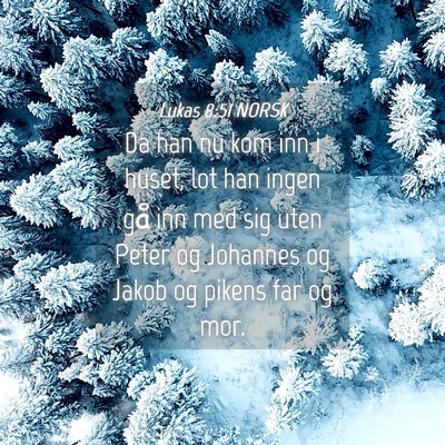 Picture 04 - Lukas 8:51 NORSK - Da han nu kom inn i huset, lot han ingen gå inn - Bible Verse Picture