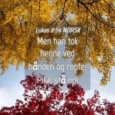 Picture 04 - Lukas 8:54 NORSK - Men han tok henne ved hånden og ropte: Pike, - Bible Verse Picture
