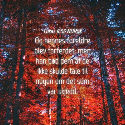 Picture 04 - Lukas 8:56 NORSK - Og hennes foreldre blev forferdet; men han bød - Bible Verse Picture