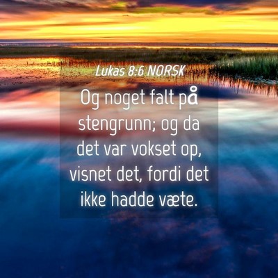 Picture 04 - Lukas 8:6 NORSK - Og noget falt på stengrunn; og da det var vokset - Bible Verse Picture