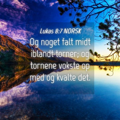 Picture 04 - Lukas 8:7 NORSK - Og noget falt midt iblandt torner; og tornene - Bible Verse Picture