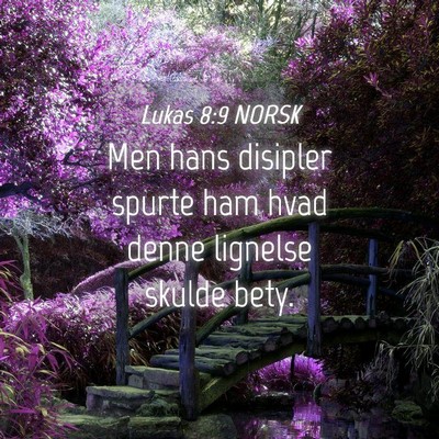 Picture 04 - Lukas 8:9 NORSK - Men hans disipler spurte ham hvad denne lignelse - Bible Verse Picture