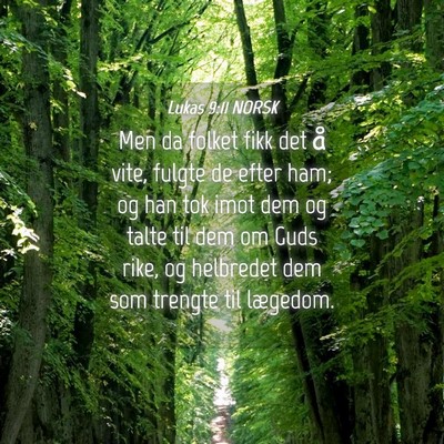 Picture 04 - Lukas 9:11 NORSK - Men da folket fikk det å vite, fulgte de efter - Bible Verse Picture