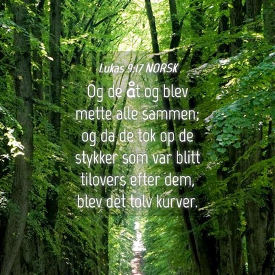 Picture 04 - Lukas 9:17 NORSK - Og de åt og blev mette alle sammen; og da de tok - Bible Verse Picture