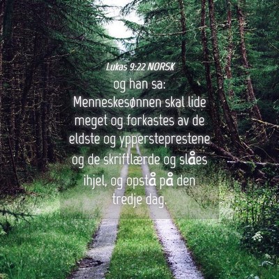 Picture 04 - Lukas 9:22 NORSK - og han sa: Menneskesønnen skal lide meget og - Bible Verse Picture