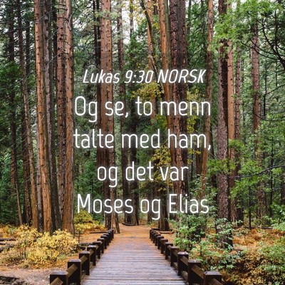 Picture 04 - Lukas 9:30 NORSK - Og se, to menn talte med ham, og det var Moses og - Bible Verse Picture