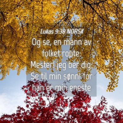 Picture 04 - Lukas 9:38 NORSK - Og se, en mann av folket ropte: Mester! jeg ber - Bible Verse Picture