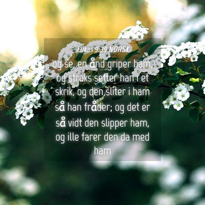 Picture 04 - Lukas 9:39 NORSK - og se, en ånd griper ham, og straks setter han i - Bible Verse Picture