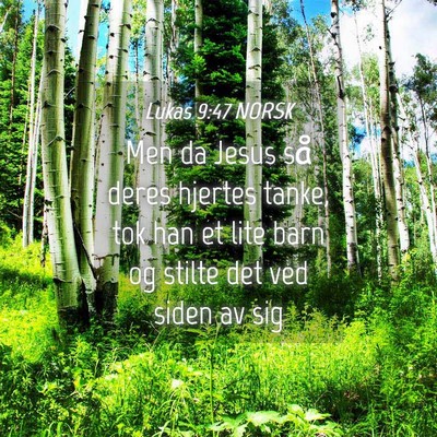 Picture 04 - Lukas 9:47 NORSK - Men da Jesus så deres hjertes tanke, tok han et - Bible Verse Picture