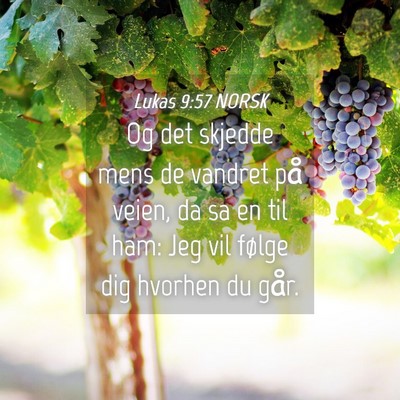 Picture 04 - Lukas 9:57 NORSK - Og det skjedde mens de vandret på veien, da sa - Bible Verse Picture