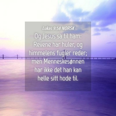 Picture 04 - Lukas 9:58 NORSK - Og Jesus sa til ham: Revene har huler, og - Bible Verse Picture