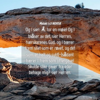Picture 04 - Malaki 1:13 NORSK - Og I sier: Å, for en møie! Og I blåser av det, - Bible Verse Picture