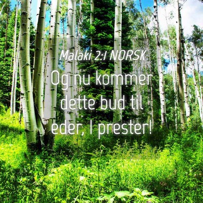 Picture 04 - Malaki 2:1 NORSK - Og nu kommer dette bud til eder, I - Bible Verse Picture
