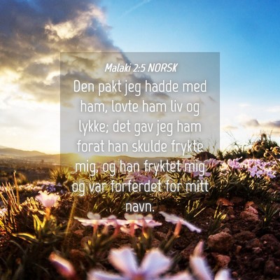 Picture 04 - Malaki 2:5 NORSK - Den pakt jeg hadde med ham, lovte ham liv og - Bible Verse Picture