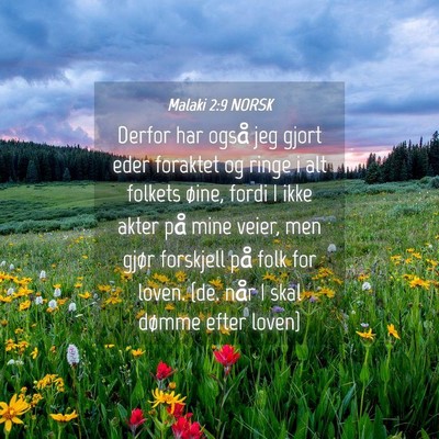 Picture 04 - Malaki 2:9 NORSK - Derfor har også jeg gjort eder foraktet og ringe - Bible Verse Picture