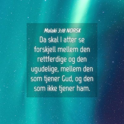 Picture 04 - Malaki 3:18 NORSK - Da skal I atter se forskjell mellem den - Bible Verse Picture