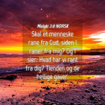 Picture 04 - Malaki 3:8 NORSK - Skal et menneske rane fra Gud, siden I raner fra - Bible Verse Picture
