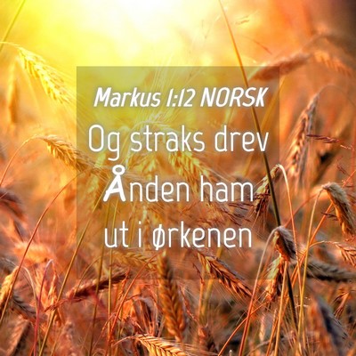 Picture 04 - Markus 1:12 NORSK - Og straks drev Ånden ham ut i - Bible Verse Picture