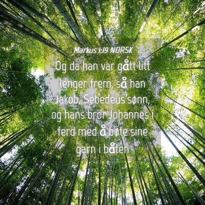 Picture 04 - Markus 1:19 NORSK - Og da han var gått litt lenger frem, så han - Bible Verse Picture
