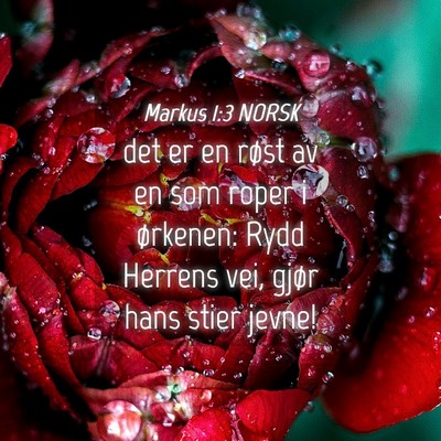 Picture 04 - Markus 1:3 NORSK - det er en røst av en som roper i ørkenen: Rydd - Bible Verse Picture