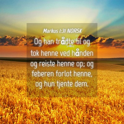 Picture 04 - Markus 1:31 NORSK - Og han trådte til og tok henne ved hånden og - Bible Verse Picture