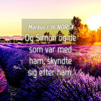 Picture 04 - Markus 1:36 NORSK - Og Simon og de som var med ham, skyndte sig efter - Bible Verse Picture