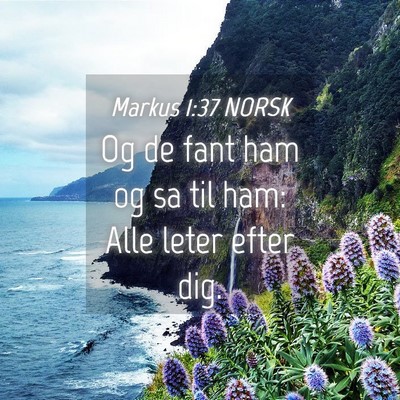 Picture 04 - Markus 1:37 NORSK - Og de fant ham og sa til ham: Alle leter efter - Bible Verse Picture