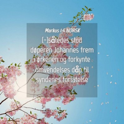 Picture 04 - Markus 1:4 NORSK - (-)således stod døperen Johannes frem i - Bible Verse Picture