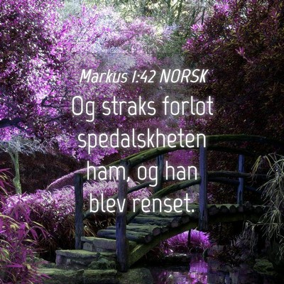 Picture 04 - Markus 1:42 NORSK - Og straks forlot spedalskheten ham, og han blev - Bible Verse Picture