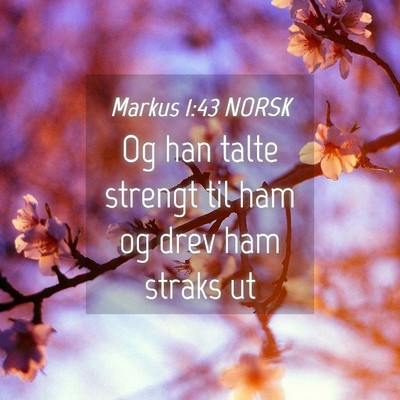 Picture 04 - Markus 1:43 NORSK - Og han talte strengt til ham og drev ham straks - Bible Verse Picture