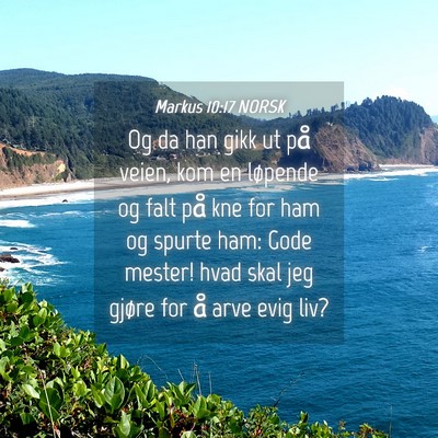 Picture 04 - Markus 10:17 NORSK - Og da han gikk ut på veien, kom en løpende og - Bible Verse Picture