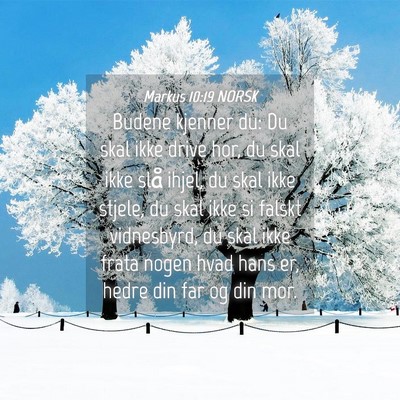 Picture 04 - Markus 10:19 NORSK - Budene kjenner du: Du skal ikke drive hor, du - Bible Verse Picture