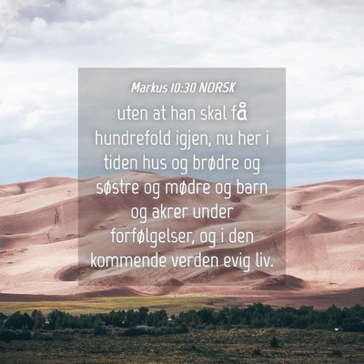 Picture 04 - Markus 10:30 NORSK - uten at han skal få hundrefold igjen, nu her i - Bible Verse Picture