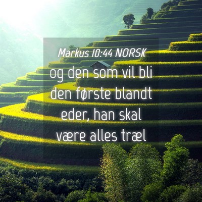 Picture 04 - Markus 10:44 NORSK - og den som vil bli den første blandt eder, han - Bible Verse Picture