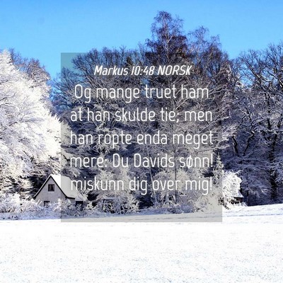 Picture 04 - Markus 10:48 NORSK - Og mange truet ham at han skulde tie; men han - Bible Verse Picture