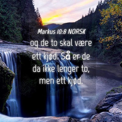 Picture 04 - Markus 10:8 NORSK - og de to skal være ett kjød. Så er de da ikke - Bible Verse Picture