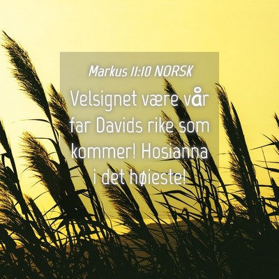Picture 04 - Markus 11:10 NORSK - Velsignet være vår far Davids rike som kommer! - Bible Verse Picture