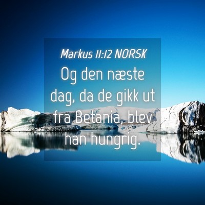Picture 04 - Markus 11:12 NORSK - Og den næste dag, da de gikk ut fra Betania, - Bible Verse Picture