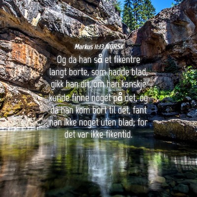 Picture 04 - Markus 11:13 NORSK - Og da han så et fikentre langt borte, som hadde - Bible Verse Picture