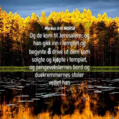 Picture 04 - Markus 11:15 NORSK - Og de kom til Jerusalem; og han gikk inn i - Bible Verse Picture