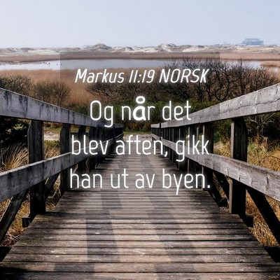 Picture 04 - Markus 11:19 NORSK - Og når det blev aften, gikk han ut av - Bible Verse Picture