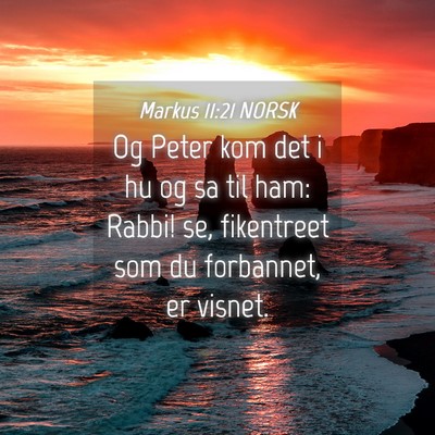 Picture 04 - Markus 11:21 NORSK - Og Peter kom det i hu og sa til ham: Rabbi! se, - Bible Verse Picture