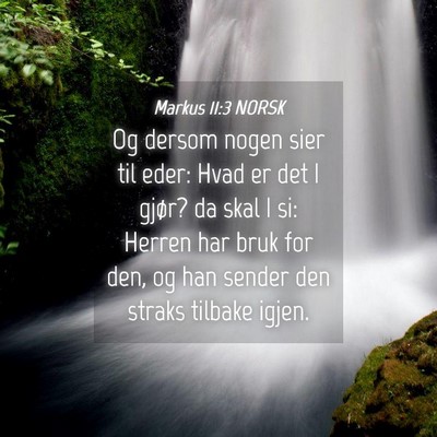 Picture 04 - Markus 11:3 NORSK - Og dersom nogen sier til eder: Hvad er det I - Bible Verse Picture
