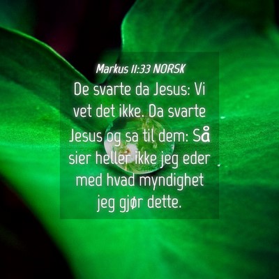 Picture 04 - Markus 11:33 NORSK - De svarte da Jesus: Vi vet det ikke. Da svarte - Bible Verse Picture