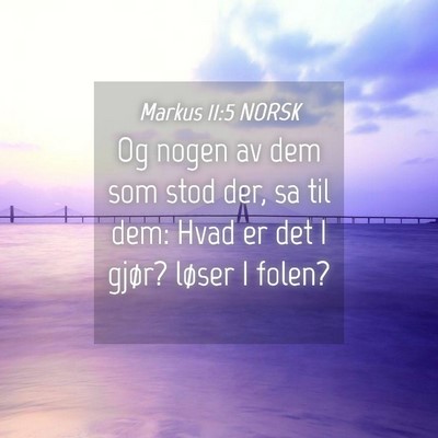 Picture 04 - Markus 11:5 NORSK - Og nogen av dem som stod der, sa til dem: Hvad er - Bible Verse Picture