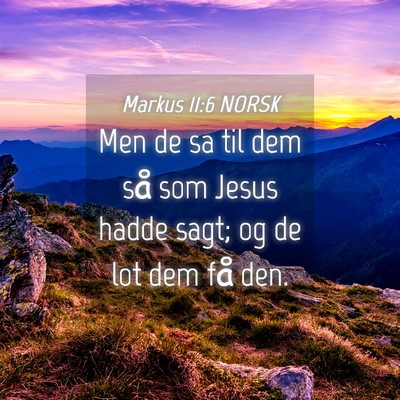Picture 04 - Markus 11:6 NORSK - Men de sa til dem så som Jesus hadde sagt; og de - Bible Verse Picture
