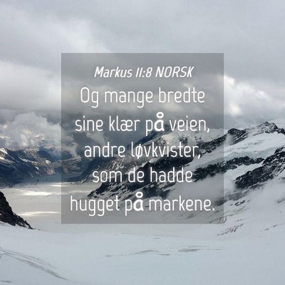 Picture 04 - Markus 11:8 NORSK - Og mange bredte sine klær på veien, andre - Bible Verse Picture