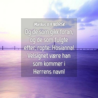 Picture 04 - Markus 11:9 NORSK - Og de som gikk foran, og de som fulgte efter, - Bible Verse Picture